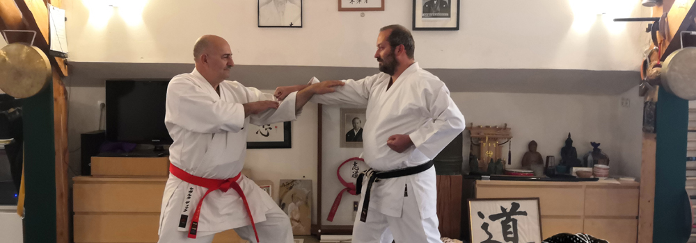 Okinawa Shorin-Ryu Karate – fotografie