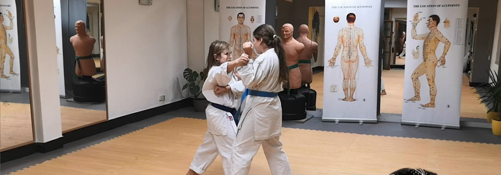 Dojo v Liberci